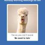 Relateble office humor picture: Monday morning meetings be like ex you can't avoid